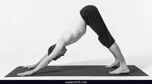 Поза собака мордой фото Pin en Yogaposes8