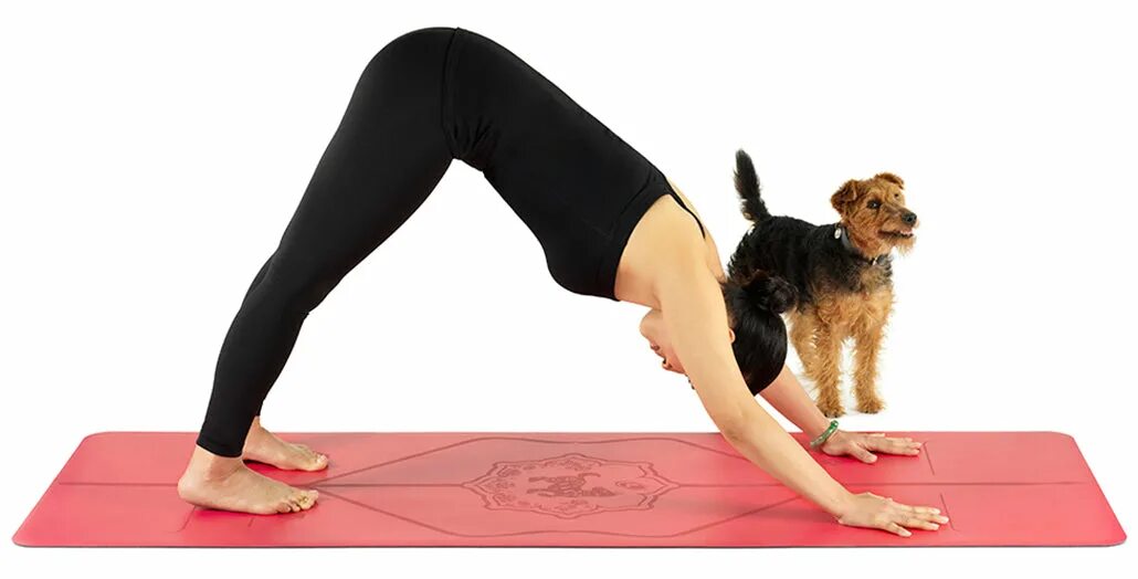 Поза собаки фото Downward Facing Dog Poses - 10 New Ways To Do Downward Dog, down dog