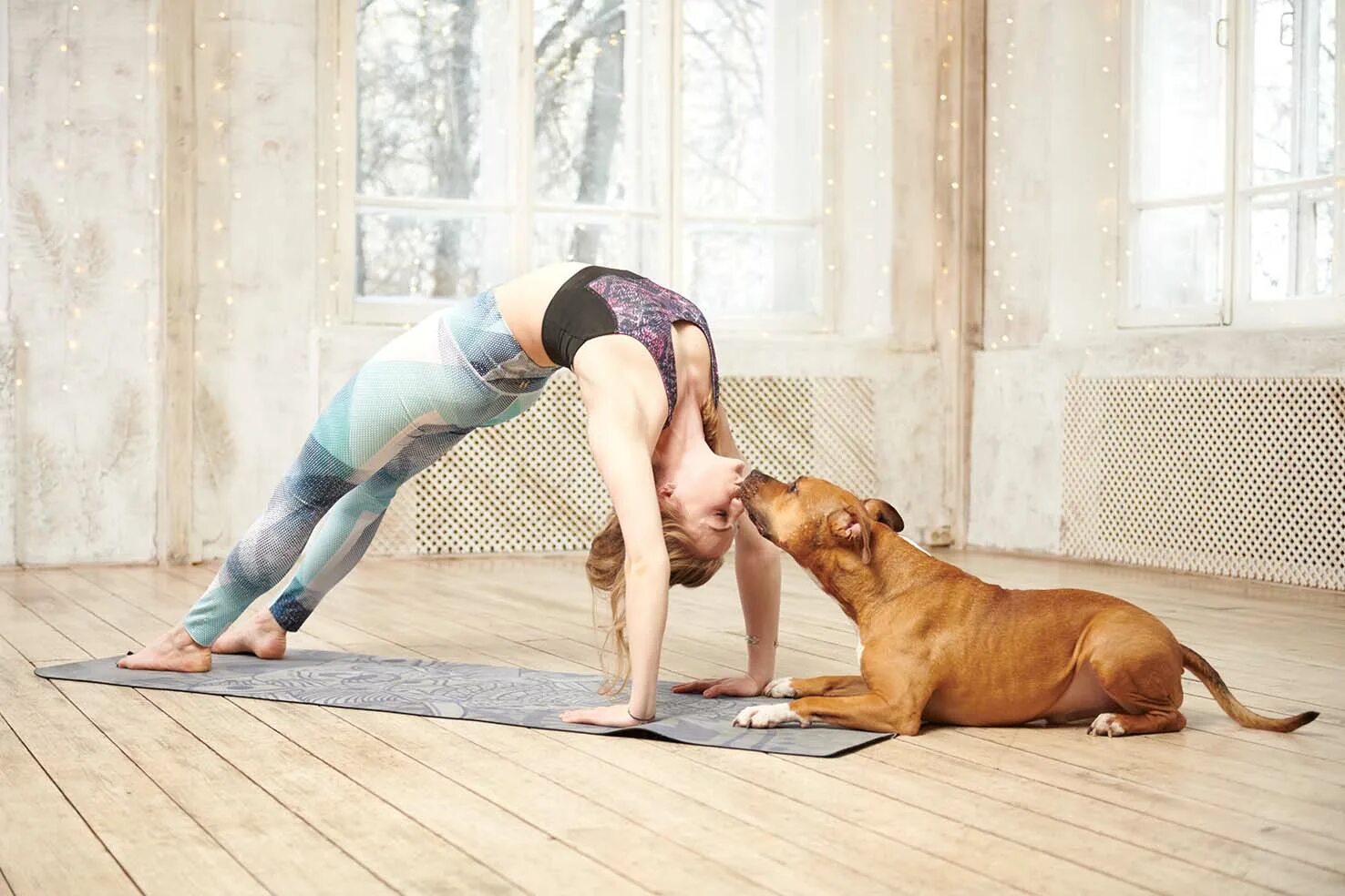 Файл:Downward Dog Pose (Doga).jpg - Википедия