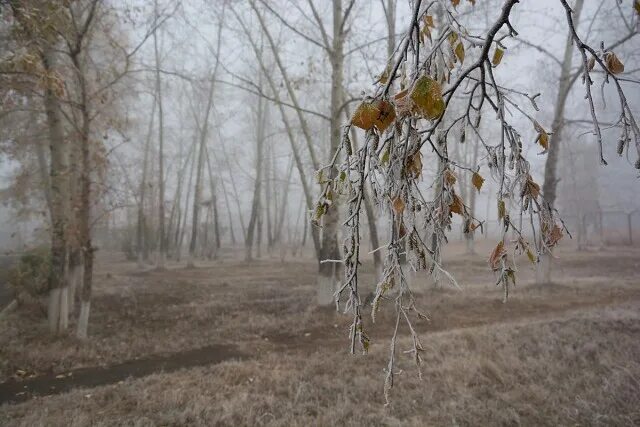 Поздняя осень фото Лента