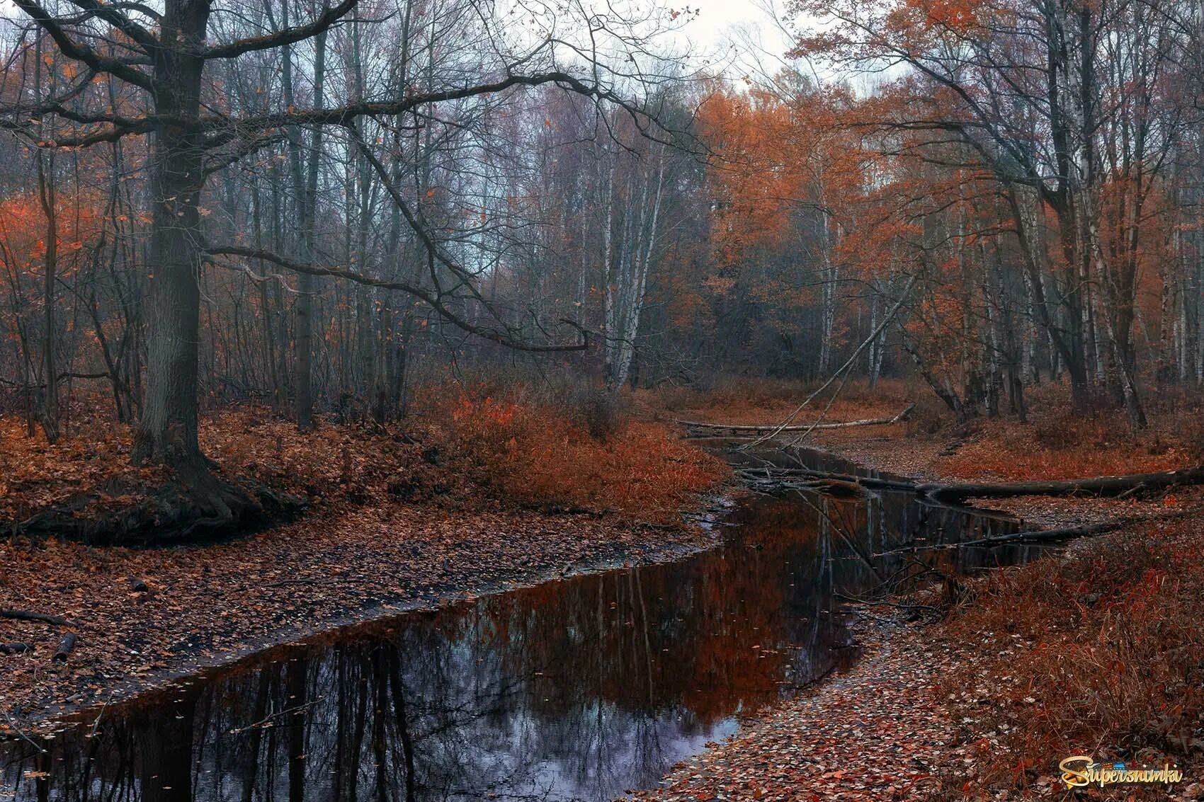 Поздняя осень фото красивые Несмотря на позднюю осень