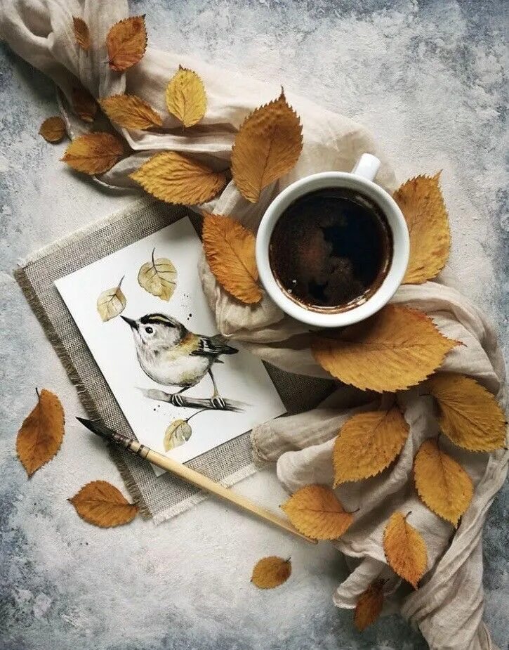 Поздняя осень картинки красивые с добрым утром Pin by Diana Azzato on OcToBeR wELcoMe Fall coffee photography, Winter coffee, A