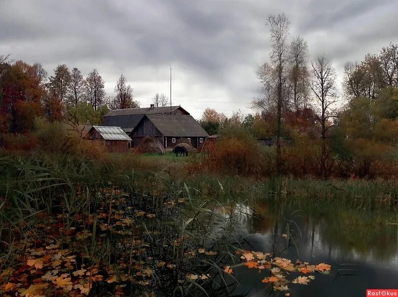 Поздняя осень в деревне фото Деревенский домик, улочка и речка, Не найти красивее, здесь порой местечка. Это 