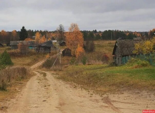 Поздняя осень в деревне фото On the warm road to the village. I go to see the space. Here I rest my soul, The