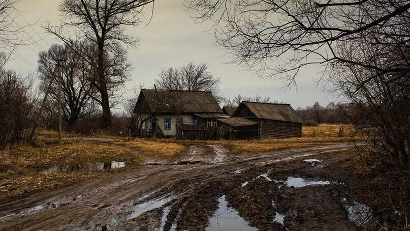 Поздняя осень в деревне фото Как тут можно сказать? Есть дорога? Нет дороги? 2023 Деревенька моя.. ВКонтакте