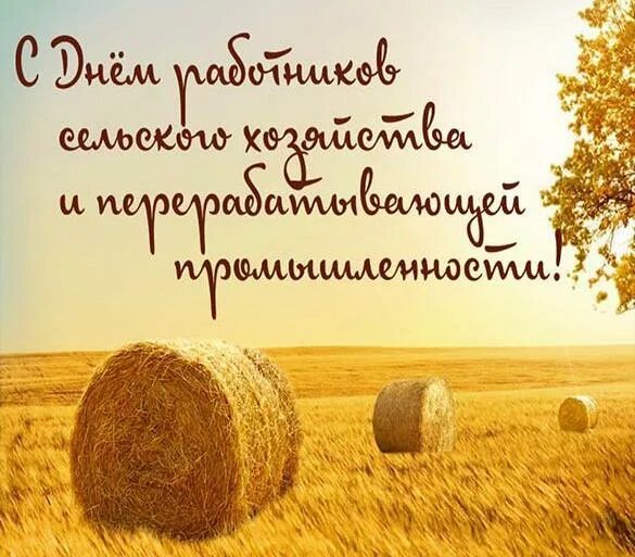 Поздравить с днем работника сельского хозяйства картинки Новости