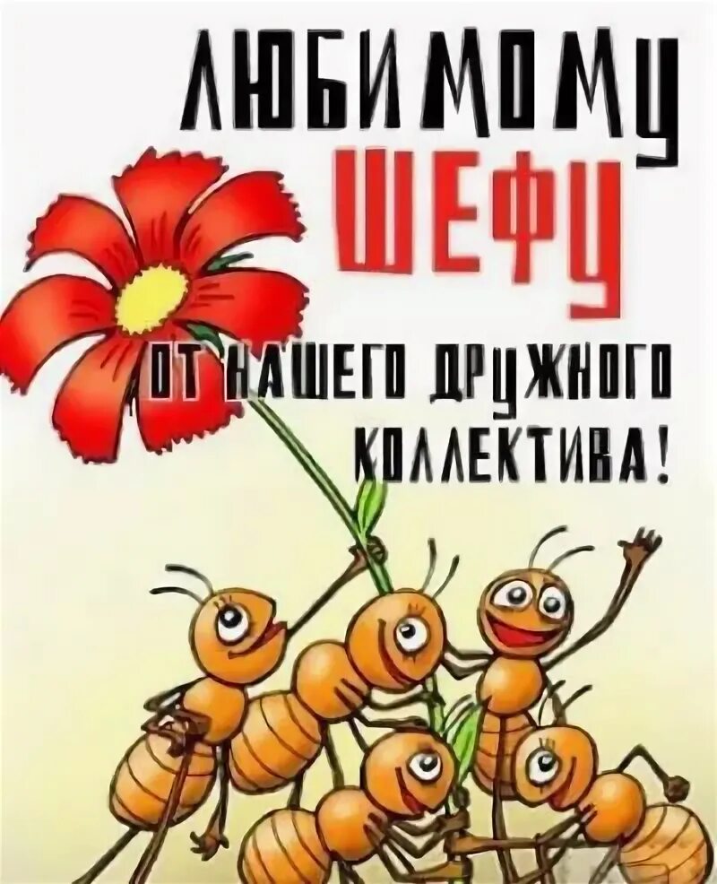 Поздравить с днем рождения директора женщину картинка Всемирный день шефа!