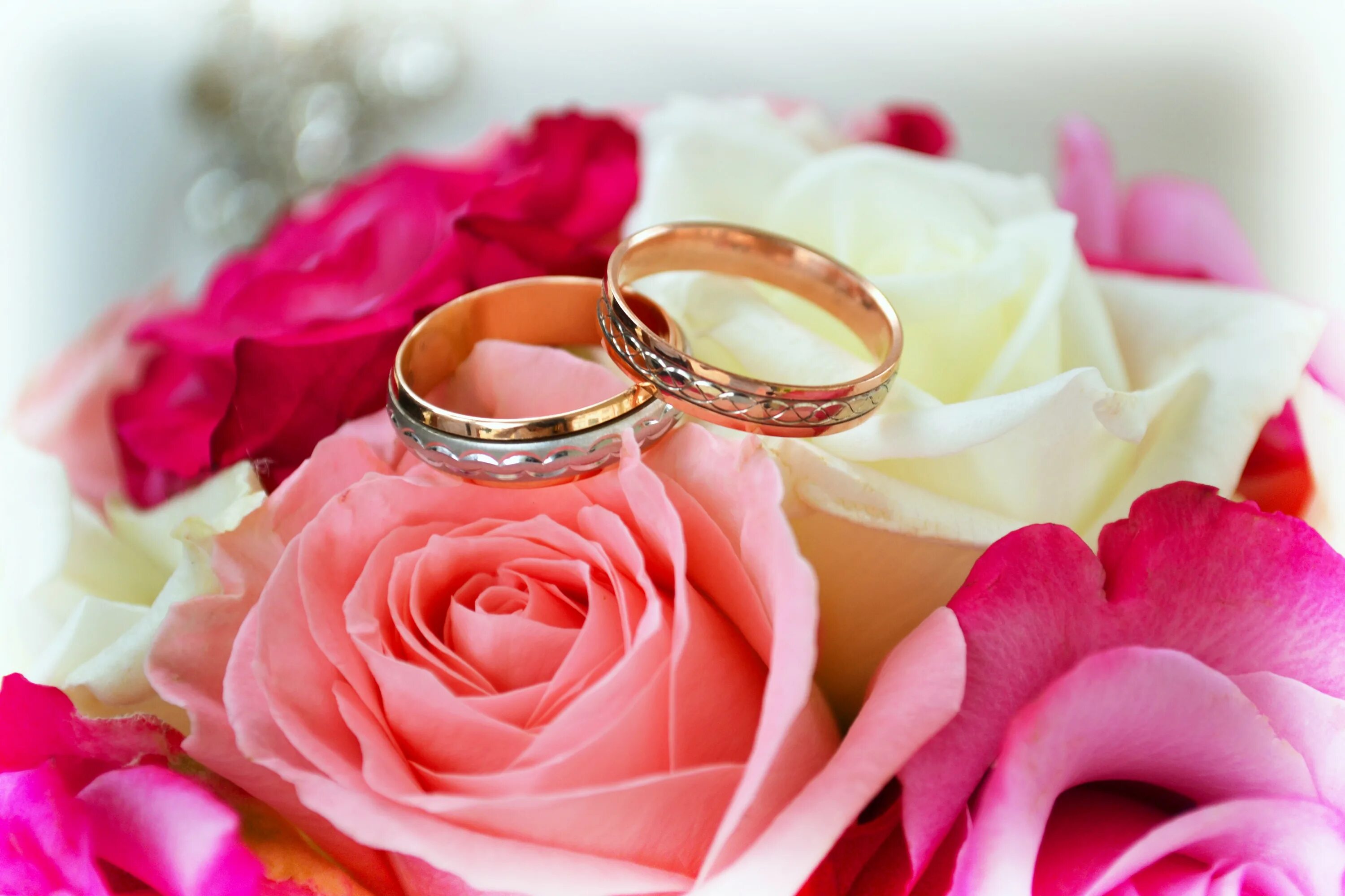 Поздравить с годовщиной свадьбы фото 4K, Roses, Closeup, Ring, Two, Gold color, HD Wallpaper Rare Gallery