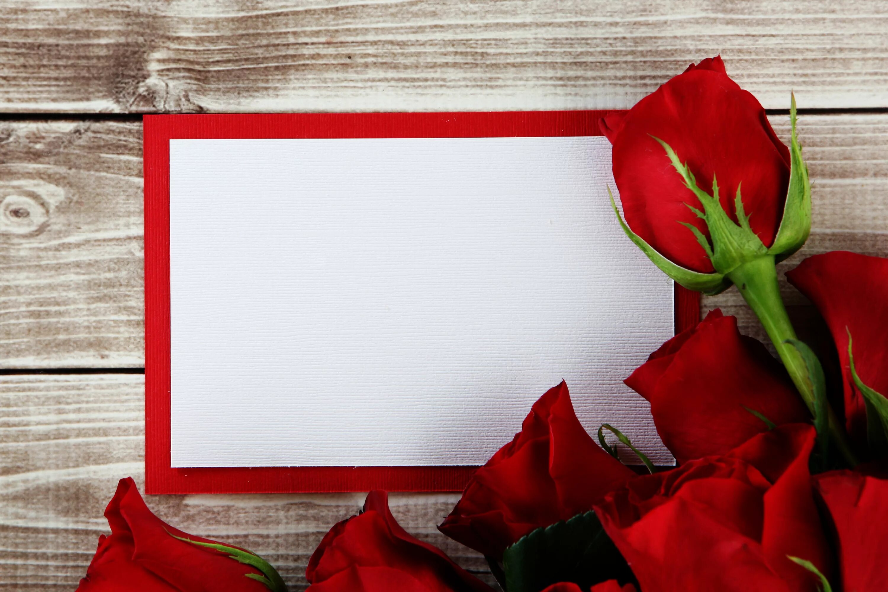 Поздравительные открытки с фото онлайн Bouquet of roses with a sheet of paper in the background frame for a greeting ca