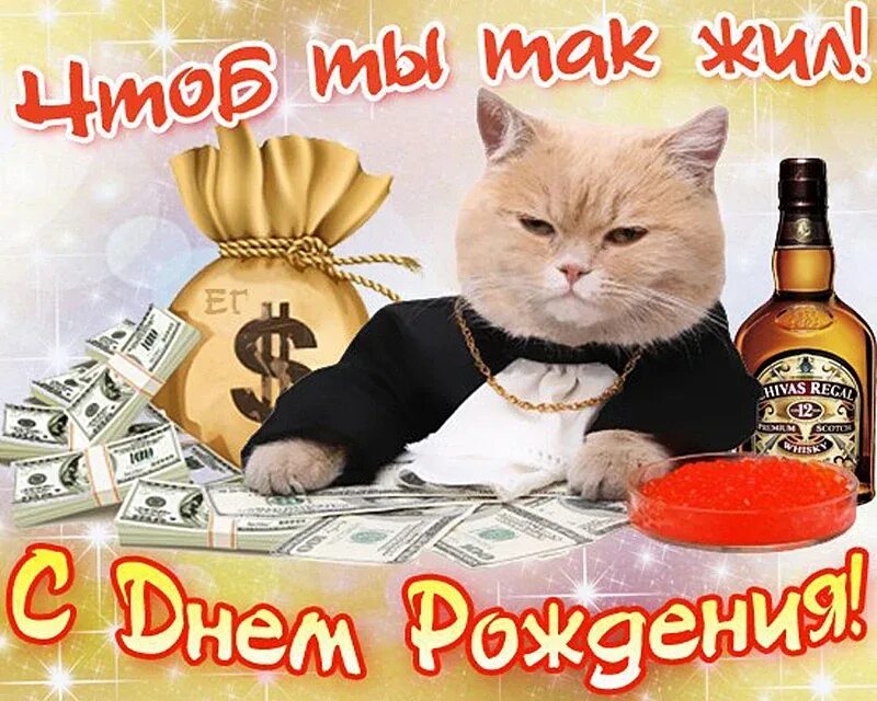 Поздравление другу мужчина фото 5D,Full,DIY Diamond Embroidery,Money Cat,Square,Diamond Painting,Cross Stitch,3D