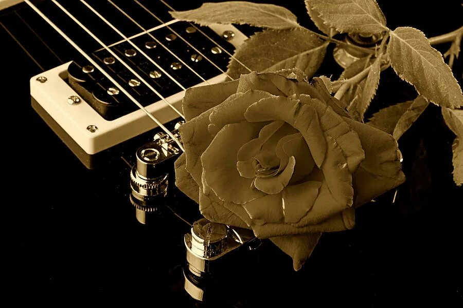 Поздравление фото с музыкой Electric Guitar and Rose Photograph by M K Miller - Fine Art America