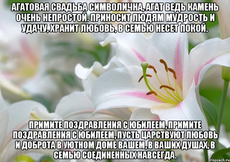 Поздравление с агатовой свадьбой картинки скачать бесплатно Агатовая свадьба символична, Агат ведь камень очень непростой. Приносит людям му