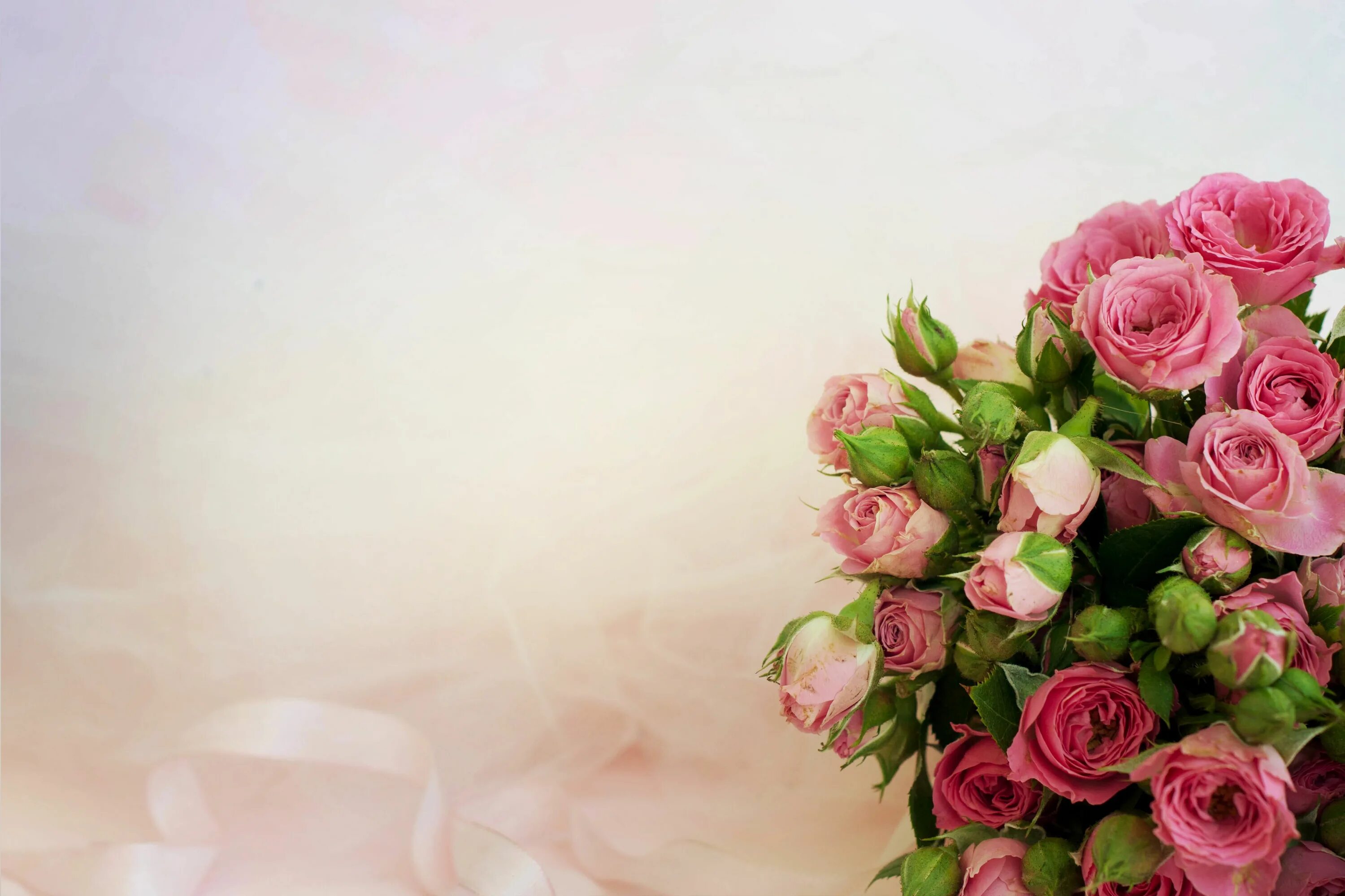 Поздравление с днем рождения женщине руководителю картинки pink rose bouquet #background #roses #bouquet #pink #4K #wallpaper #hdwallpaper 