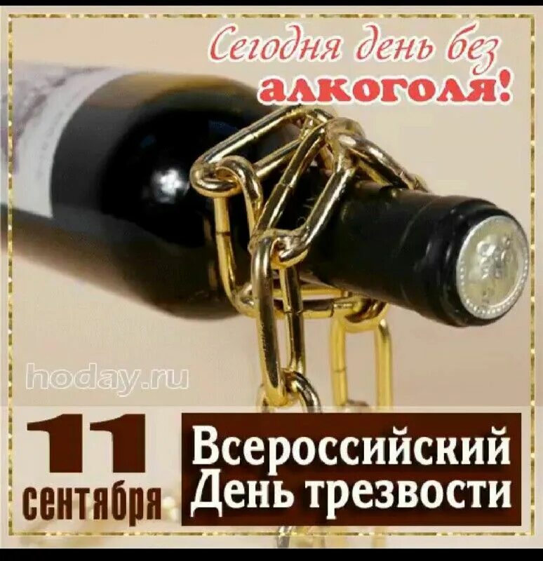 Поздравление с днем трезвости прикольные картинки Пин от пользователя Виталий Зыков на доске праздники в 2021 г Личностное развити