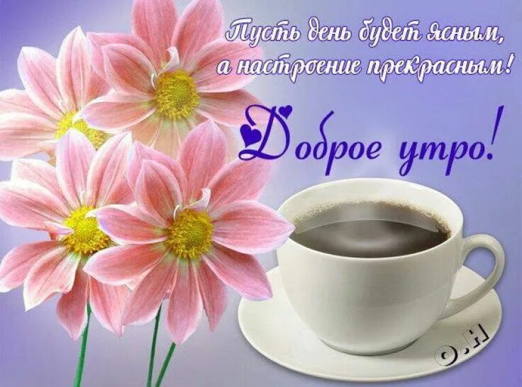 Поздравление с добрым утром картинки красивые женщине Pin on Доброе утро Glassware, Tableware, Mugs