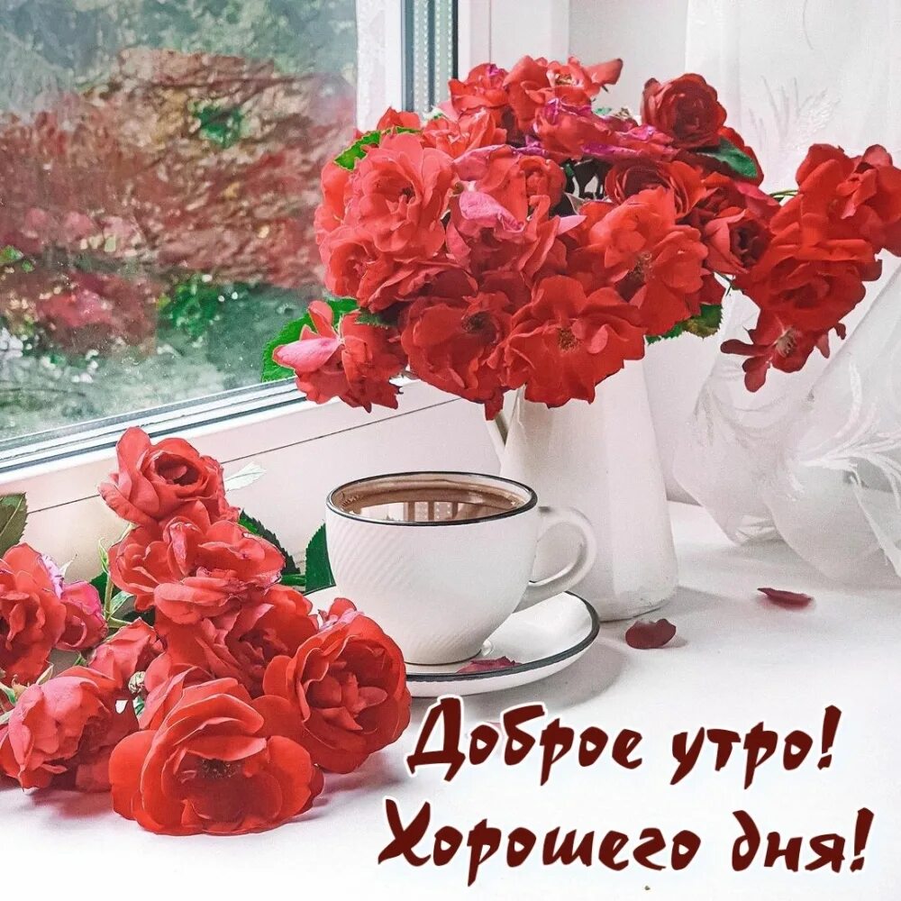 Поздравление с добрым утром картинки красивые женщине old dior