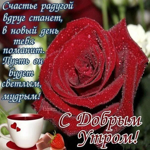 Поздравление с добрым утром картинки красивые женщине Пин от пользователя Татьяна на доске утра доброго желаю.... в 2022 г Доброе утро