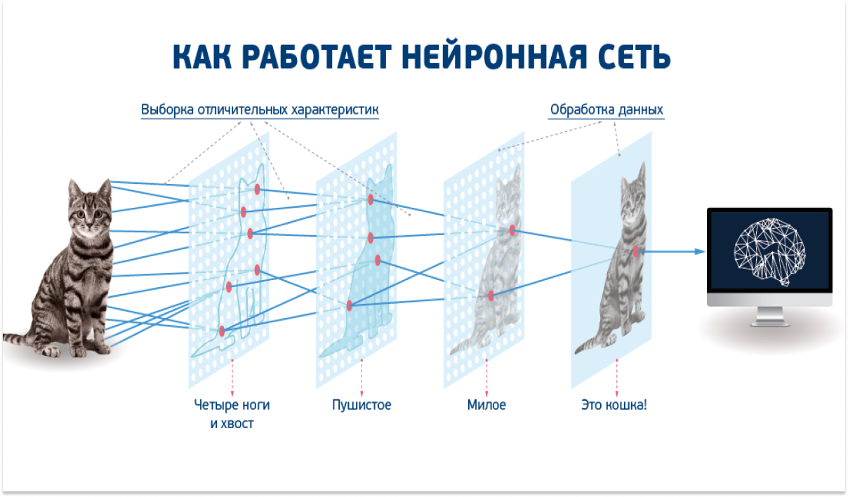 Поздравление с фото нейросеть Нейросеть для создания урока