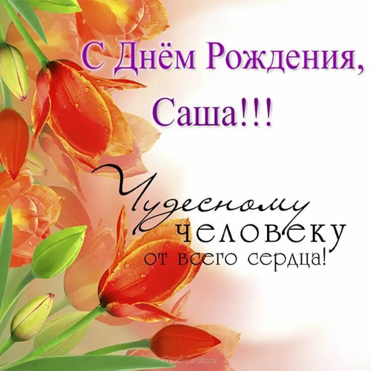 Поздравление саше фото Картинки по запросу привітання з днем народження саша С днем рождения, Рождение,