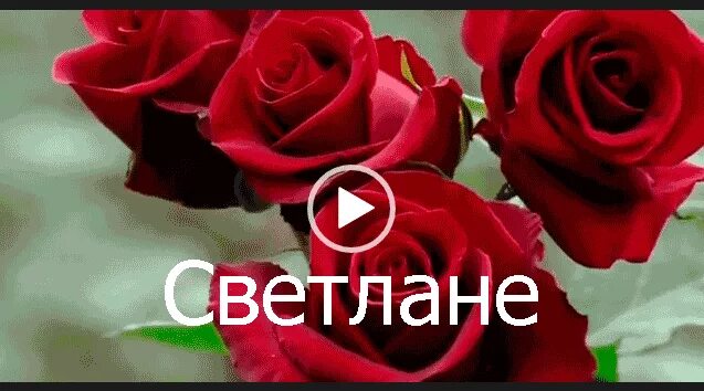 Поздравление светлане фото Песня про свету с днем рождения - найдено 87 картинок