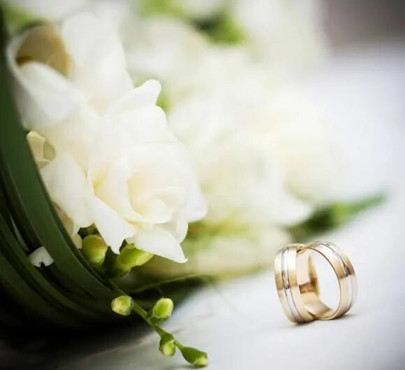 Поздравления с 18 свадьбы картинки Pin by Miriam Sanches on Flowers Wedding open, Wedding, Wedding bouquets