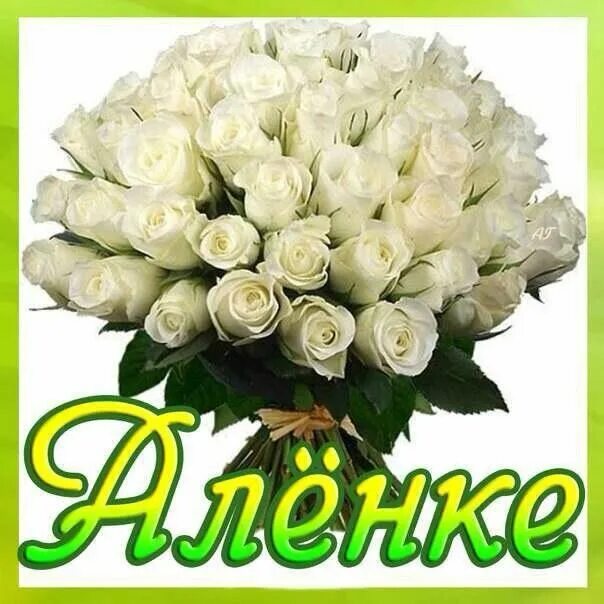 Поздравления с днем алена фото Pin on различные поздравления и пожелания Floral wreath, Diy and crafts, Floral