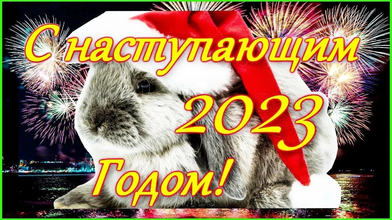 Поздравления с новым 2024 фото Администрация муниципального образования Апшеронский район Новости