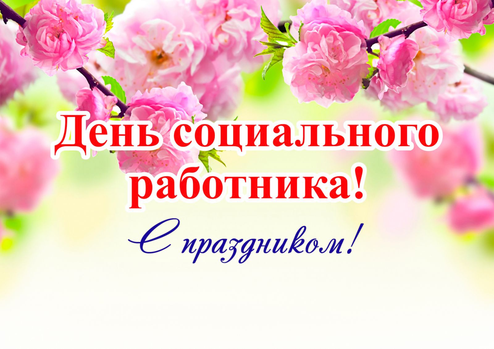 Поздравления социальным работникам картинки С Днем социального работника! СПРАВЕДЛИВАЯ РОССИЯ - ЗА ПРАВДУ - Томская область