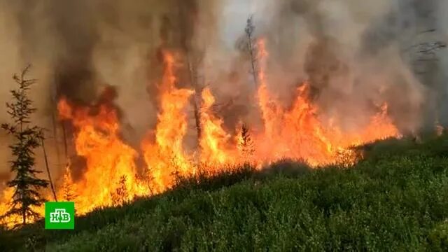 Пожар в хабаровске сегодня фото Второй за сутки американский военный корабль вошел в Чёрное море // НТВ.Ru