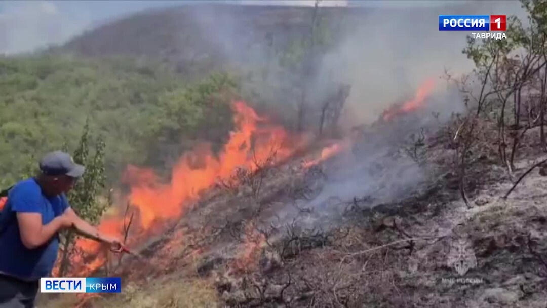 Пожар в крыму фото Что стало причиной масштабного пожара в лесу под Судаком Вести Крым Дзен