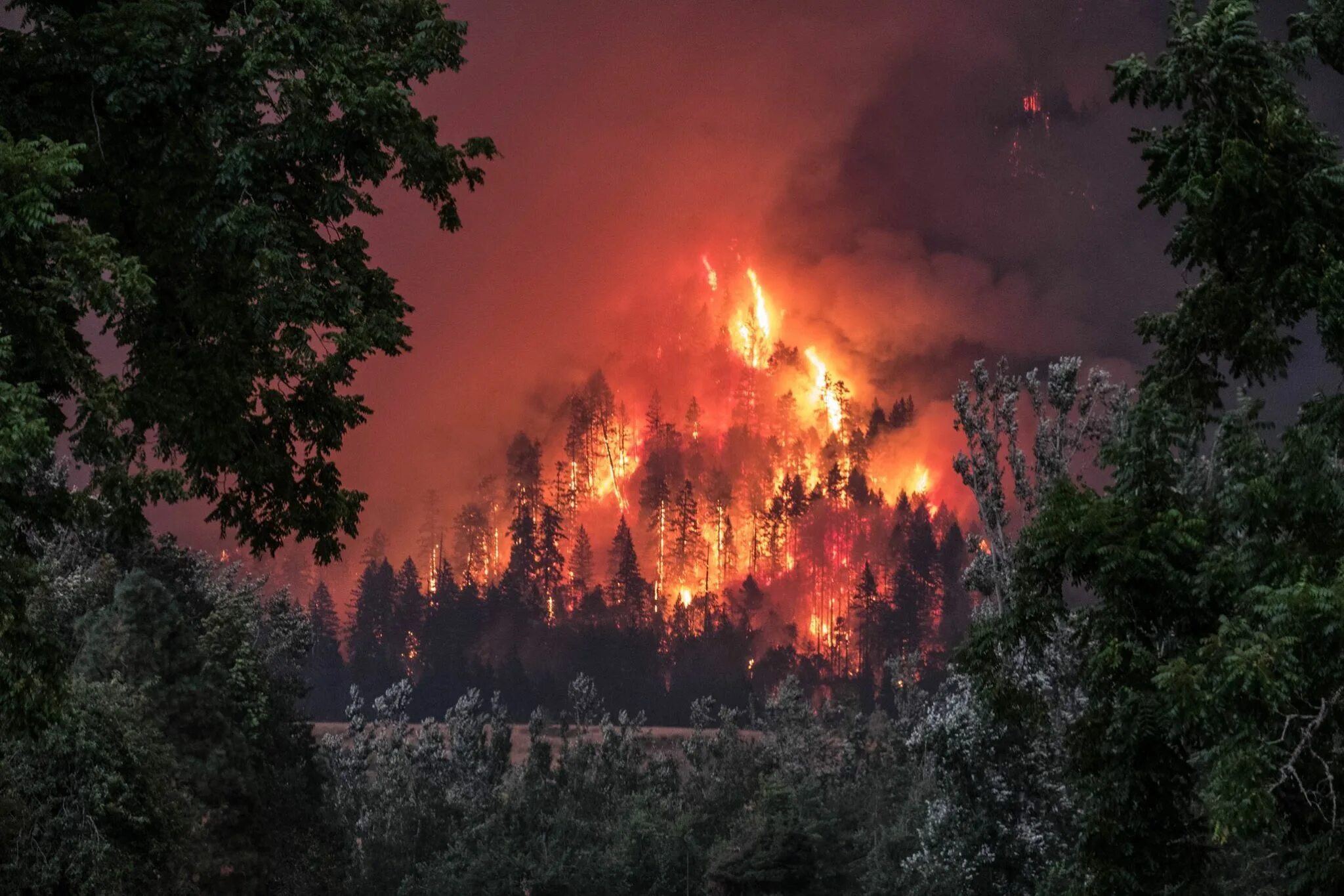 Пожар в лесу фото Программа "Берегись огня" 2019, Петропавловский район - дата и место проведения,