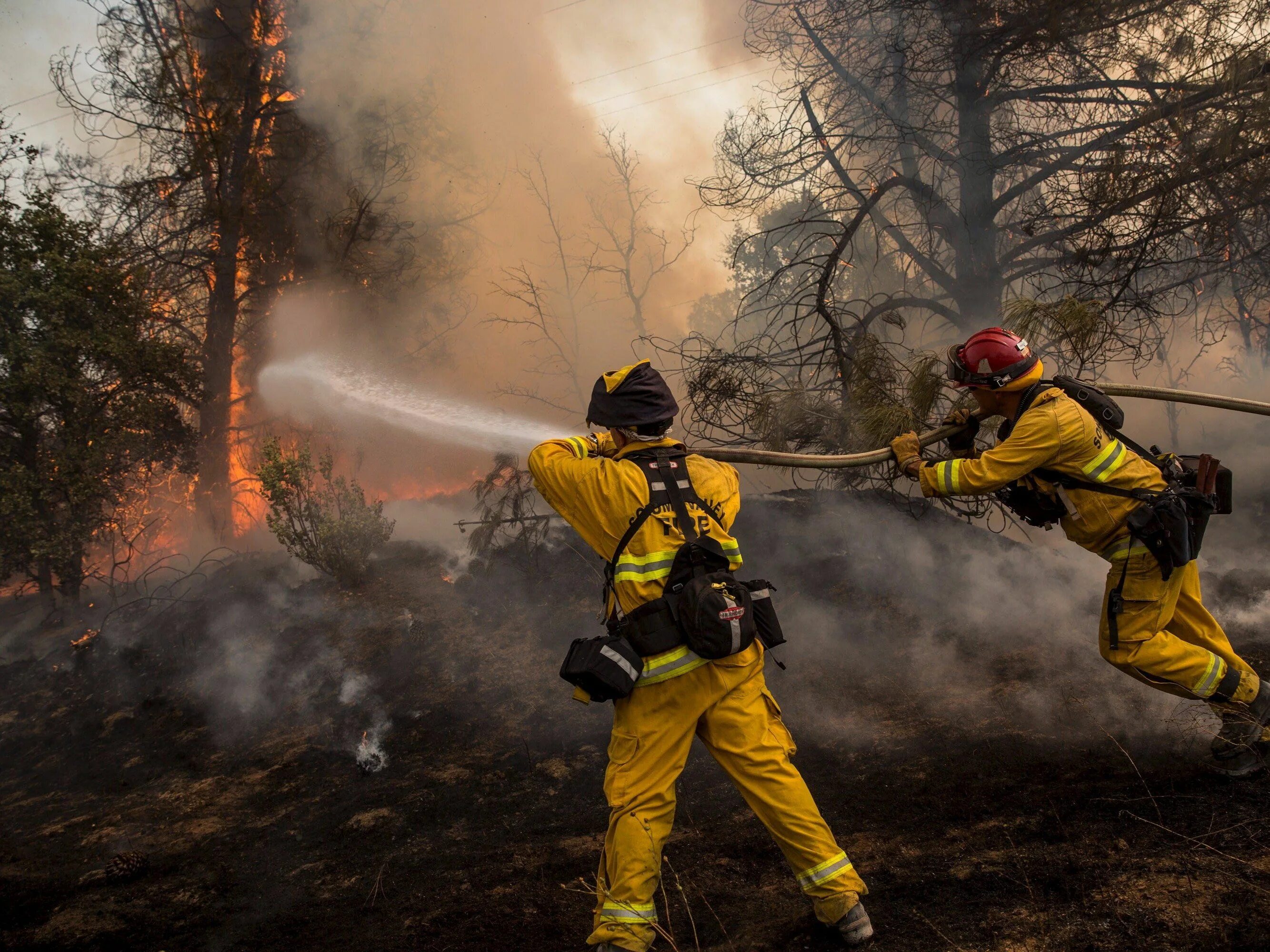 Пожарные леса фото Shocking photos show the California wildfires that have already killed one and f