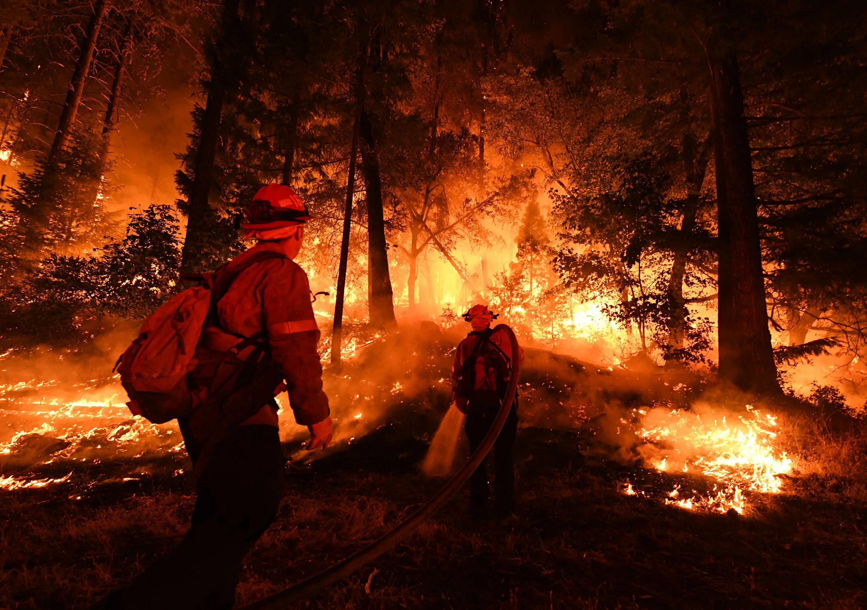 Пожарные леса фото Mendocino Complex Fires now bigger than Los Angeles - ABC7 Los Angeles