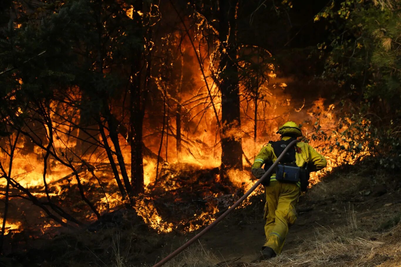 Пожарные леса фото Downed power lines sparked deadly California wildfires - report Express & Star