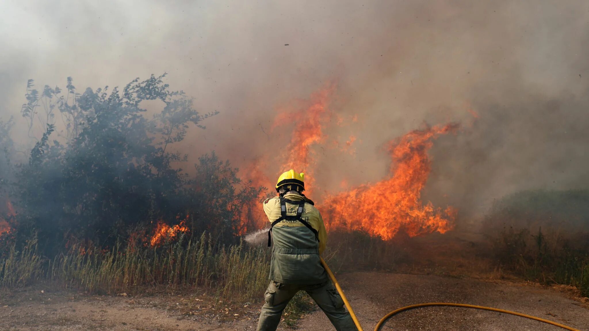 Пожарные леса фото Thirty injured as 1,000 firefighters battle wildfires in Portugal World News Sky