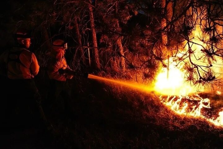 Пожарные леса фото В Оренбургской области бушуют лесные пожары - МК Оренбург