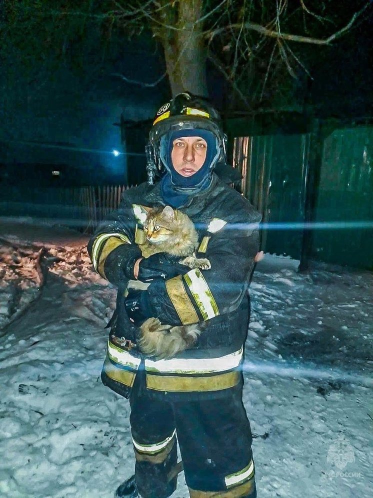 Пожарные омска фото В Омской области пожарные спасли кота из горевшего частного дома - МК Омск