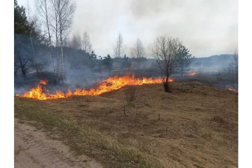 Пожароопасный сезон закрыт фото ПОЖАРООПАСНЫЙ СЕЗОН НАЧАЛСЯ - Сайт национального парка "Смоленское поозерье"