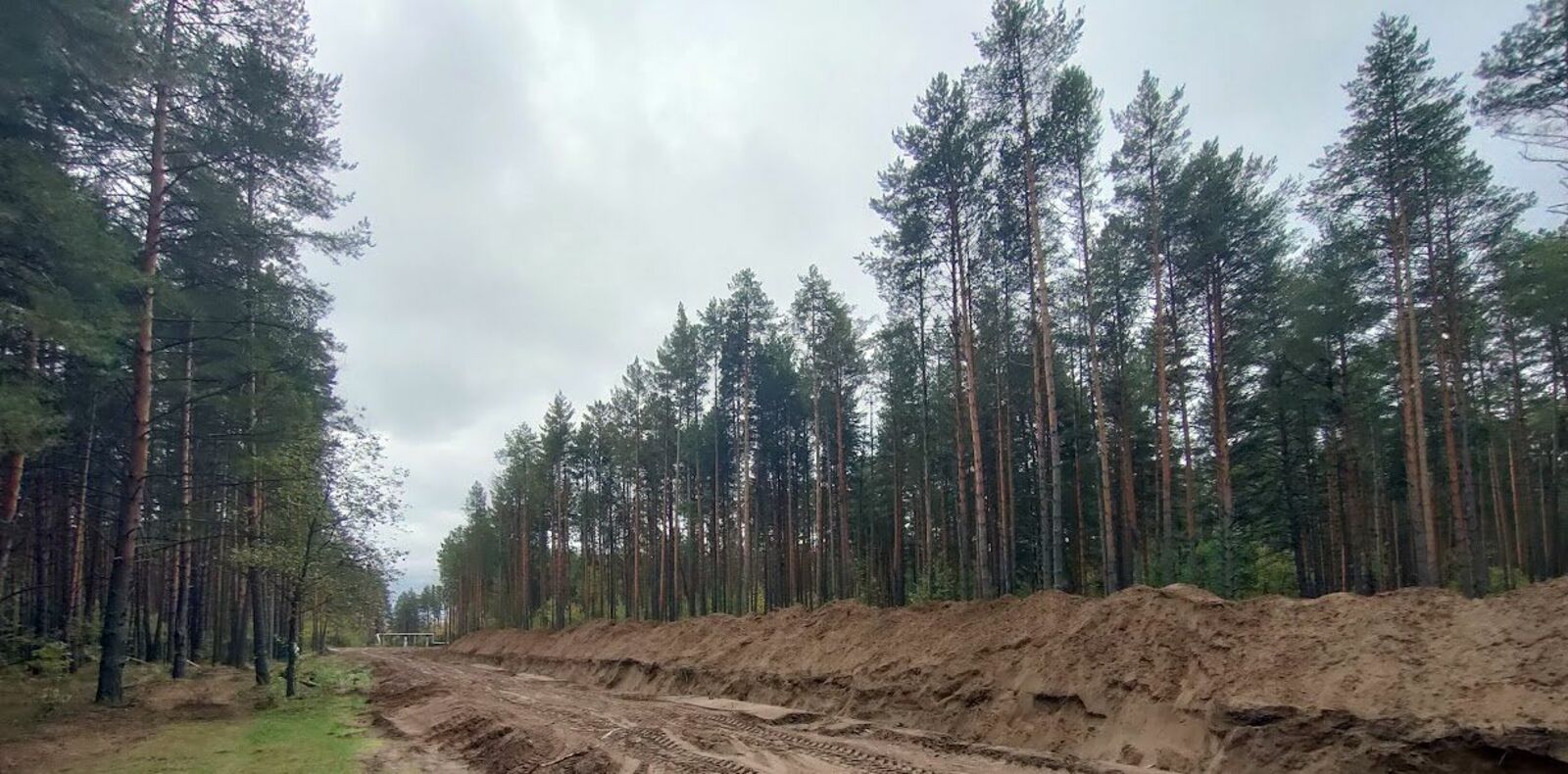 Пожароопасный сезон закрыт фото В лесах Башкирии закрыт пожароопасный сезон