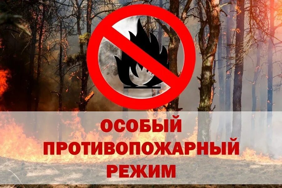 Пожароопасный сезон закрыт фото Внимание! С 10 апреля 2024 года вводится особый противопожарный режим Алатырский