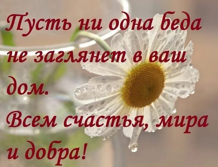 Пожелание добра и мира утром картинки Пин от пользователя Юля Климачева на доске Друзьям Вдохновляющие цитаты, Вдохнов