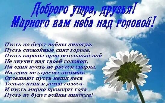 Пожелание доброго мирного утра с картинками ДОБРОЕ ПРАЗДНИЧНОЕ УТРО ДРУЗЬЯ !!! Улыбнитесь весеннему ... Галина Соловьёва Фот