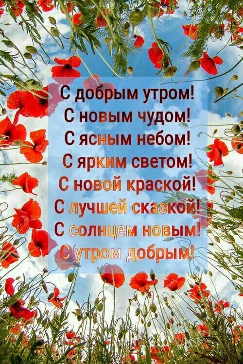 Пожелание доброго мирного утра с картинками Пин от пользователя Zor Zhlobin на доске Спорт Поздравительные открытки, Доброе 