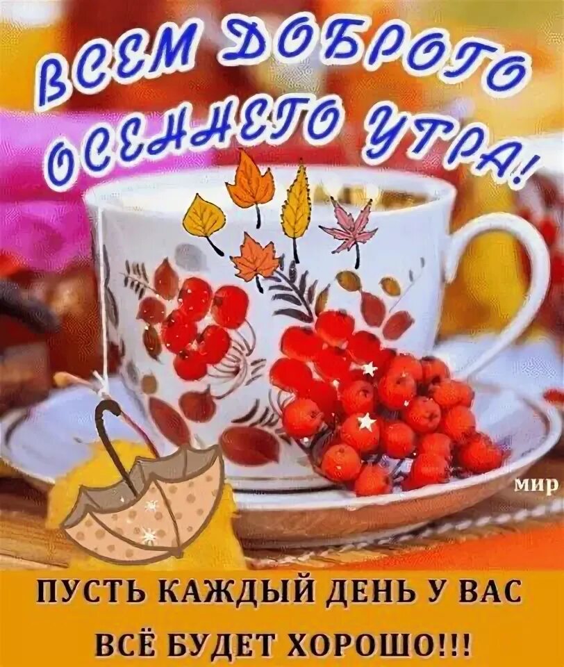 Пожелание доброго октябрьского утра красивые картинки Планета стихов: Печально клен роняет листья - Всем учителям