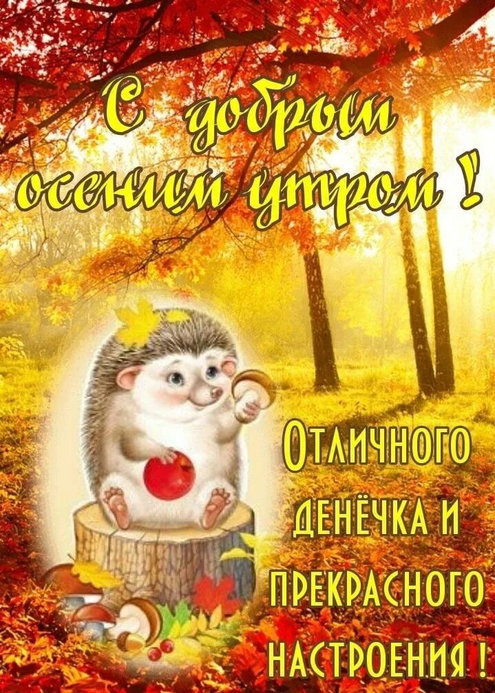 Пожелание доброго октябрьского утра красивые картинки С добрым утром октября! Пусть будет тепло, уютно и радостно! Вставай бодро, заря