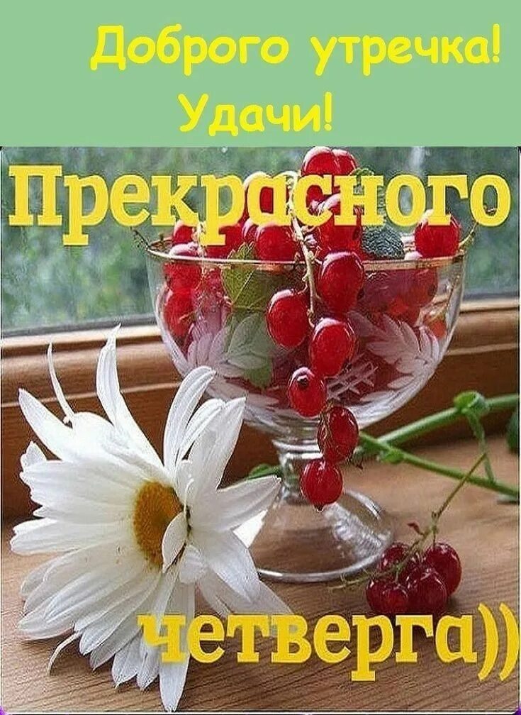 Пожелание доброго утра четверга в картинках бесплатно ป ก พ น โ ด ย Любовь Скрыпник ใ น Доброе утро