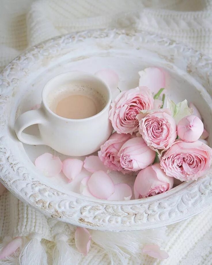 Пожелание доброго утра картинки нежные бесплатно fresh pink roses , glimmering wings , floating Coffee art, Tea and books, Tea ar