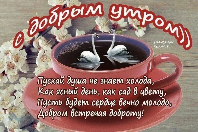 Пожелание доброго утра картинки с словами Доброе апрельское утро, дорогие поэты, писатели и читатели! 2024 АРТ - Ассоциаци