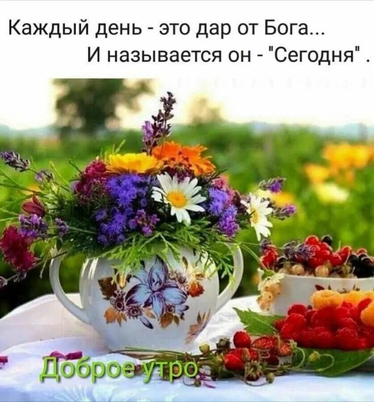 Пожелание доброго утра лета природа картинки Pin on Доброе утро Flower garden, Flowers, Table decorations