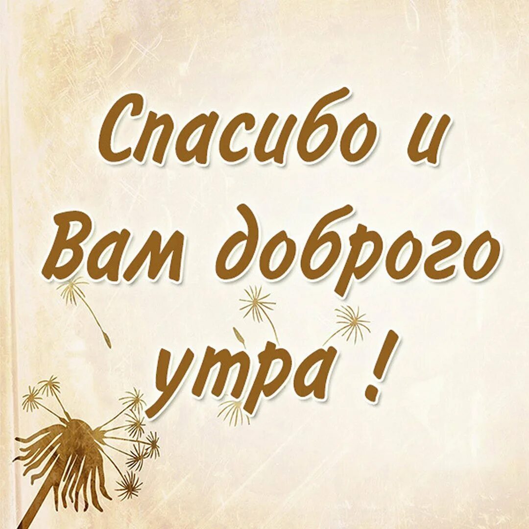 Пожелание доброго утра с картинками спасибо Картинка спасибо за пожелания доброго утра - 40 фото